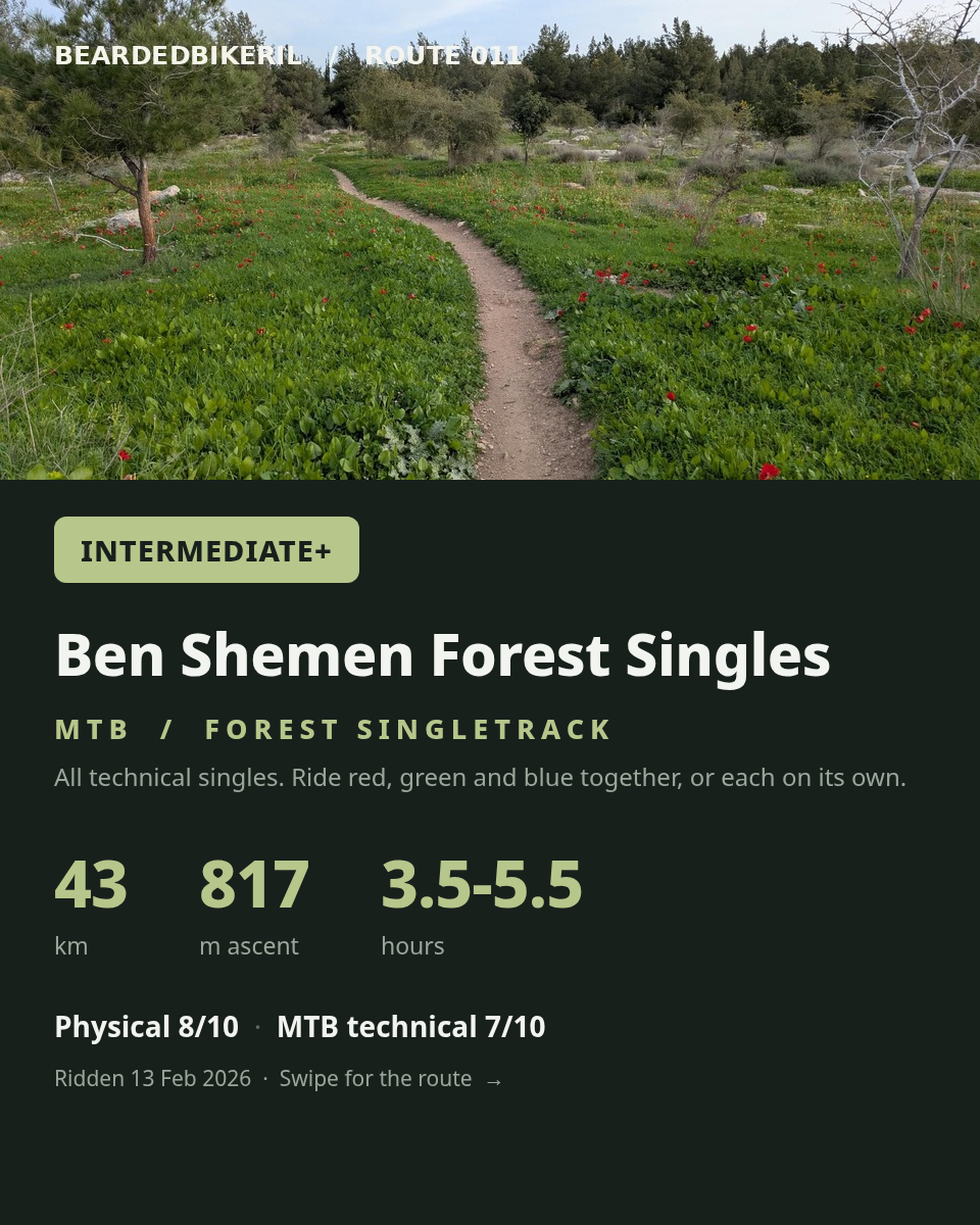 Route 011 cover: Ben Shemen Forest Singles